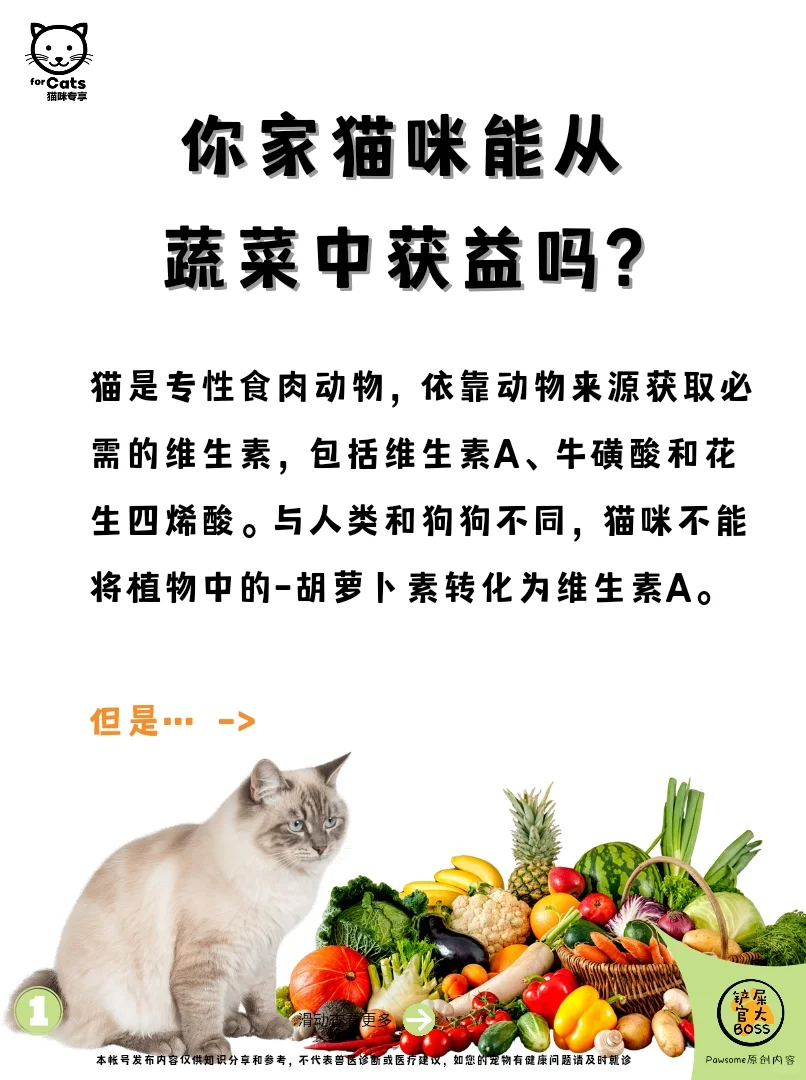 🐈+🥬