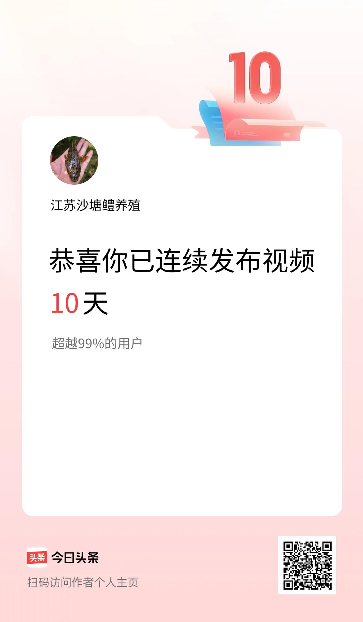我在头条连续视频投稿10天
