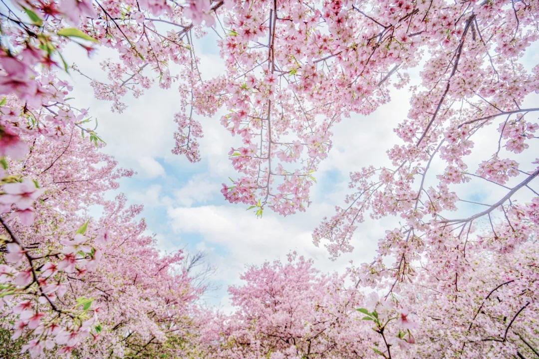 结束了一天的忙碌工作，长沙的夜晚正以多元的姿态，为每一个奔波的人准备着触手可及的