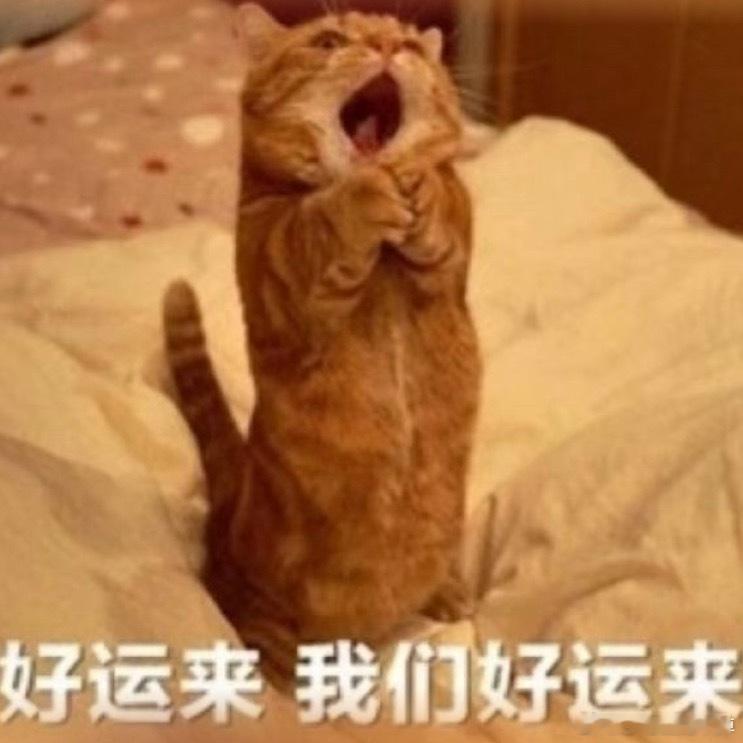 九月第一天啦来打铁吧宝宝们～希望九月善待我们都顺顺利利哒！！ ​​​