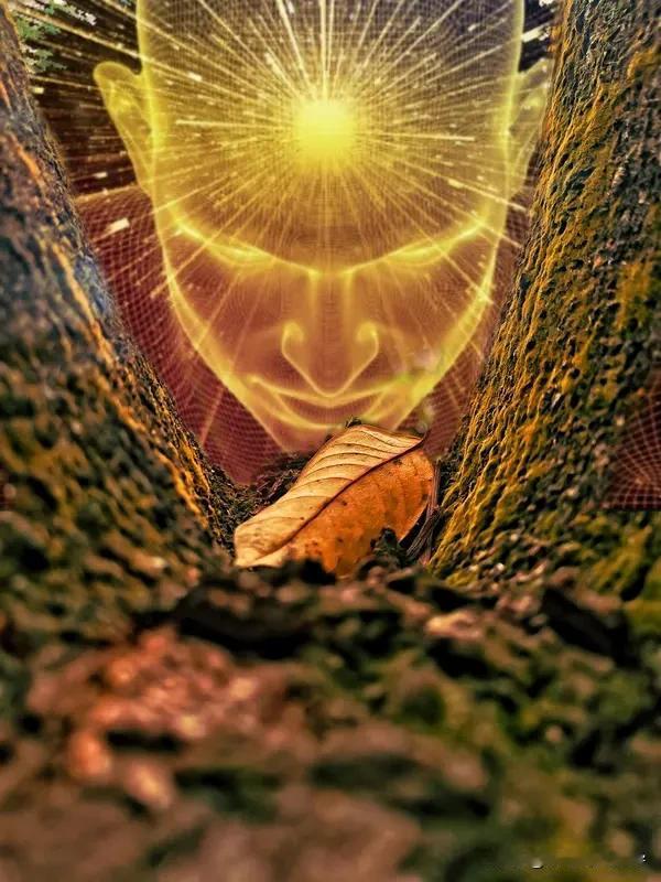 改变四步法:
 
1. 觉察（觉知）：看见问题，意识到现状。
2. 接纳：不自我