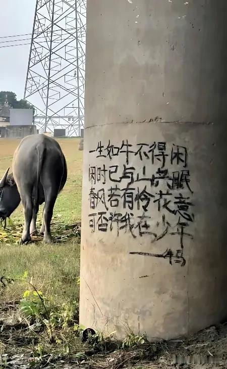 还是高手在民间啊，
看看这诗写的多么真挚贴切啊？
有时候真才实学的人，
不一定在