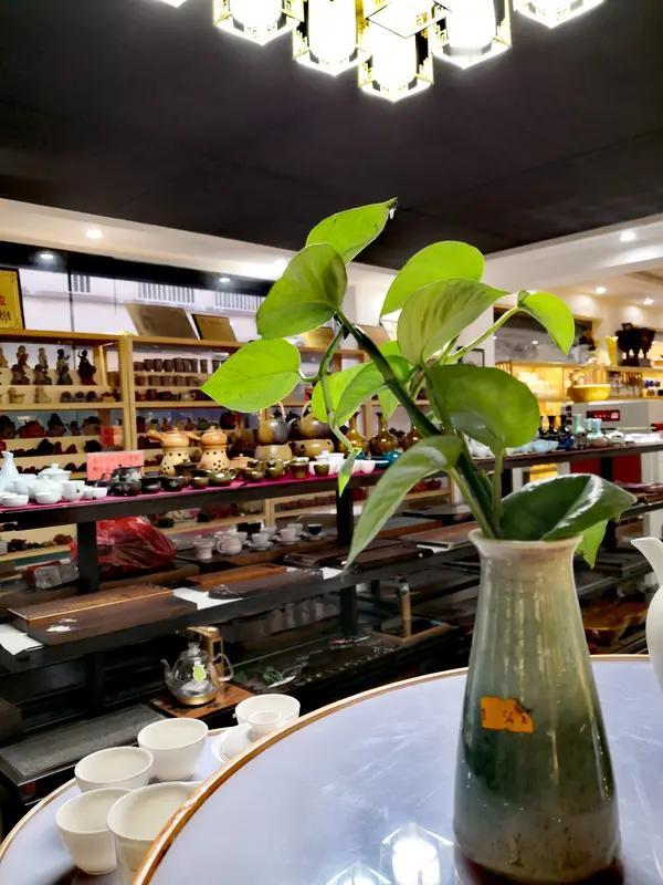 老俞不容易，自己前往南极拓展文旅业务，发了一篇激励人心的文章，却又被黑粉揪住不放