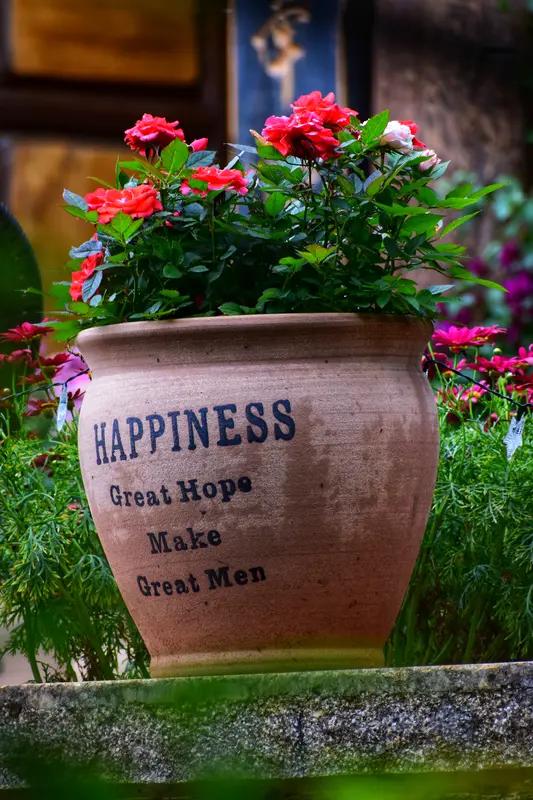 幸福和什么最有关系呢？我觉得健康、金钱和知足都很关键。健康是基础，没了健康，生活