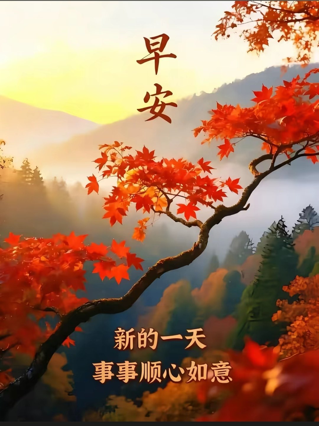 朋友们早上好！每一个清晨，都是新的开始，一个充满希望和期待的开始。老规矩已起床的