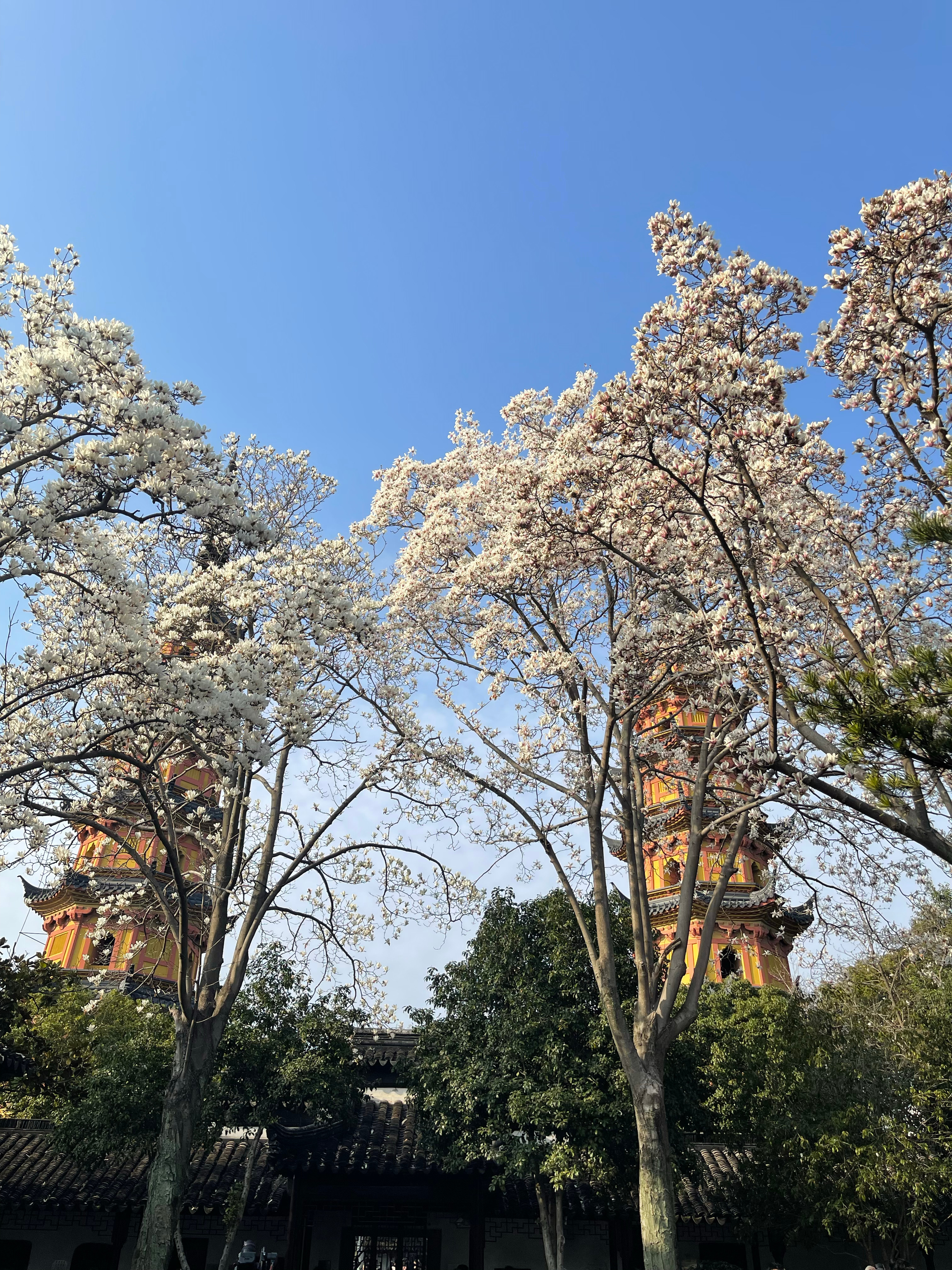 这两天真的被家里的网络气坏了我们小区对移动感冒，5G信号一直不好有时候打电话都信