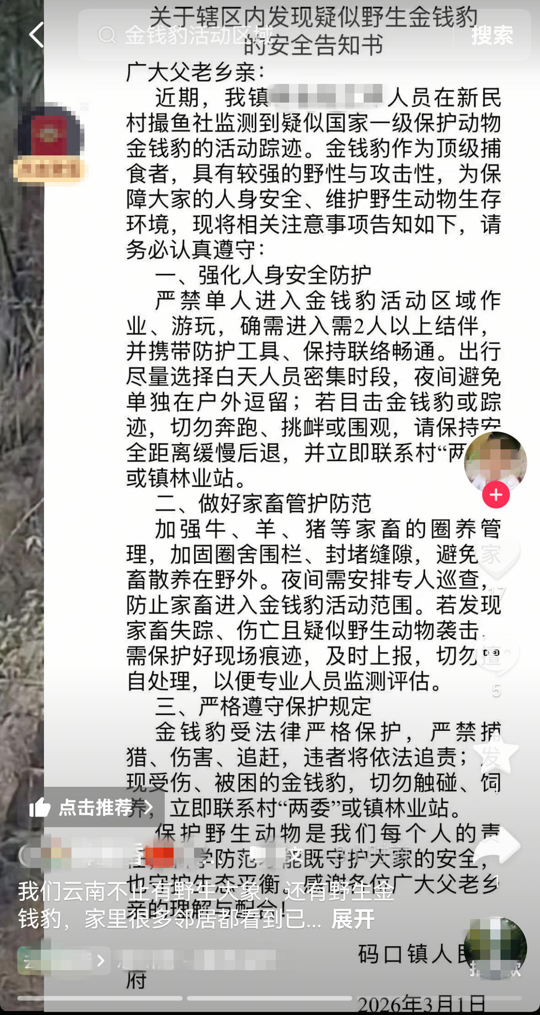 #云南一镇发疑似金钱豹安全提醒#【云南一镇政府回应“发现疑似金钱豹”：尚无法核实