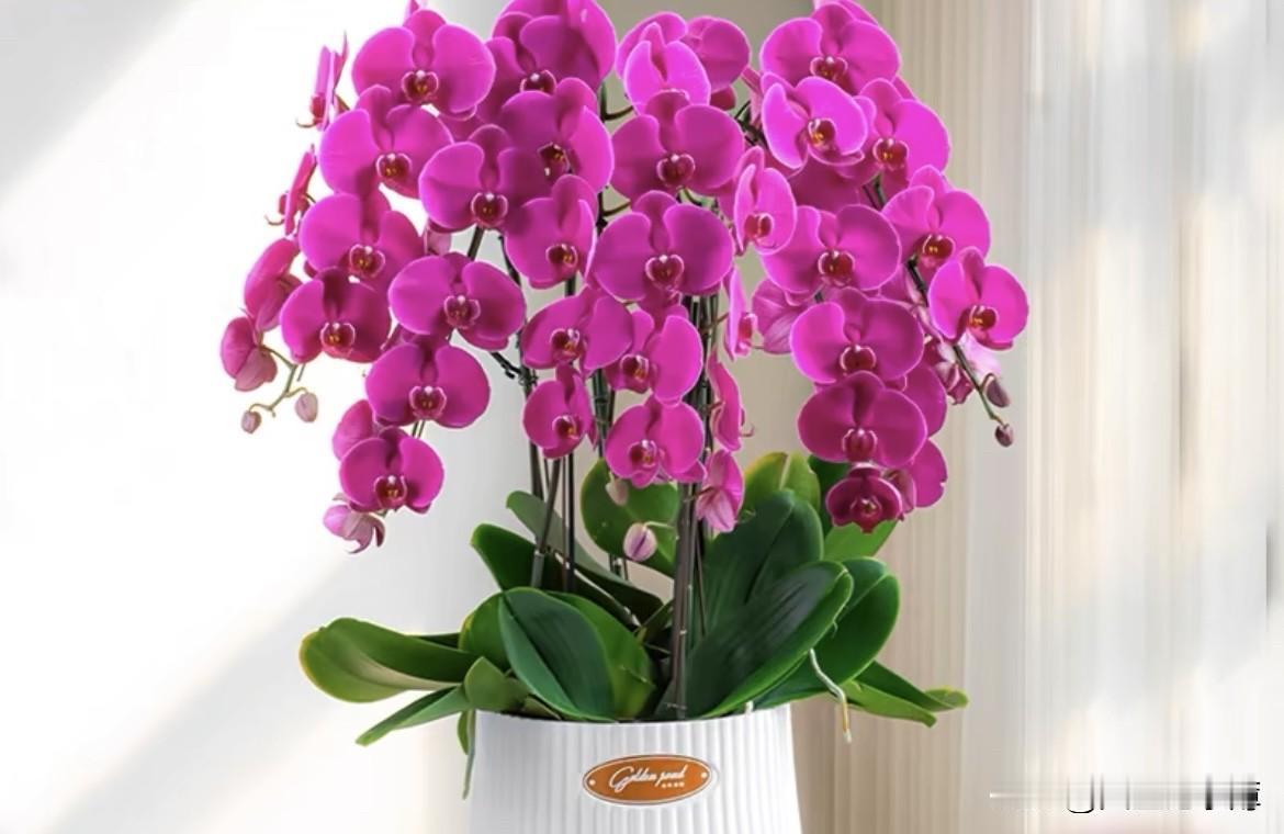 今天估计又是一个不眠夜。
现在是零点四十分，一点睡意也没有。
每个月总有几天会失