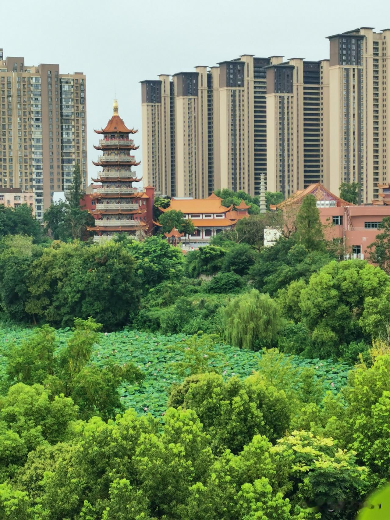 公婆赞助10万买房，她嫌少，上网问别人家给了多少。
评论区吵翻了。
有人说10万