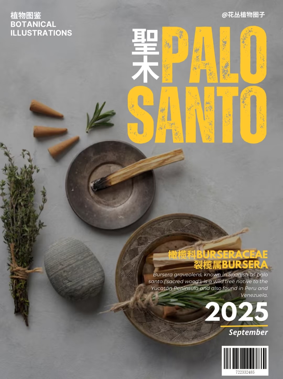 圣木palo santo