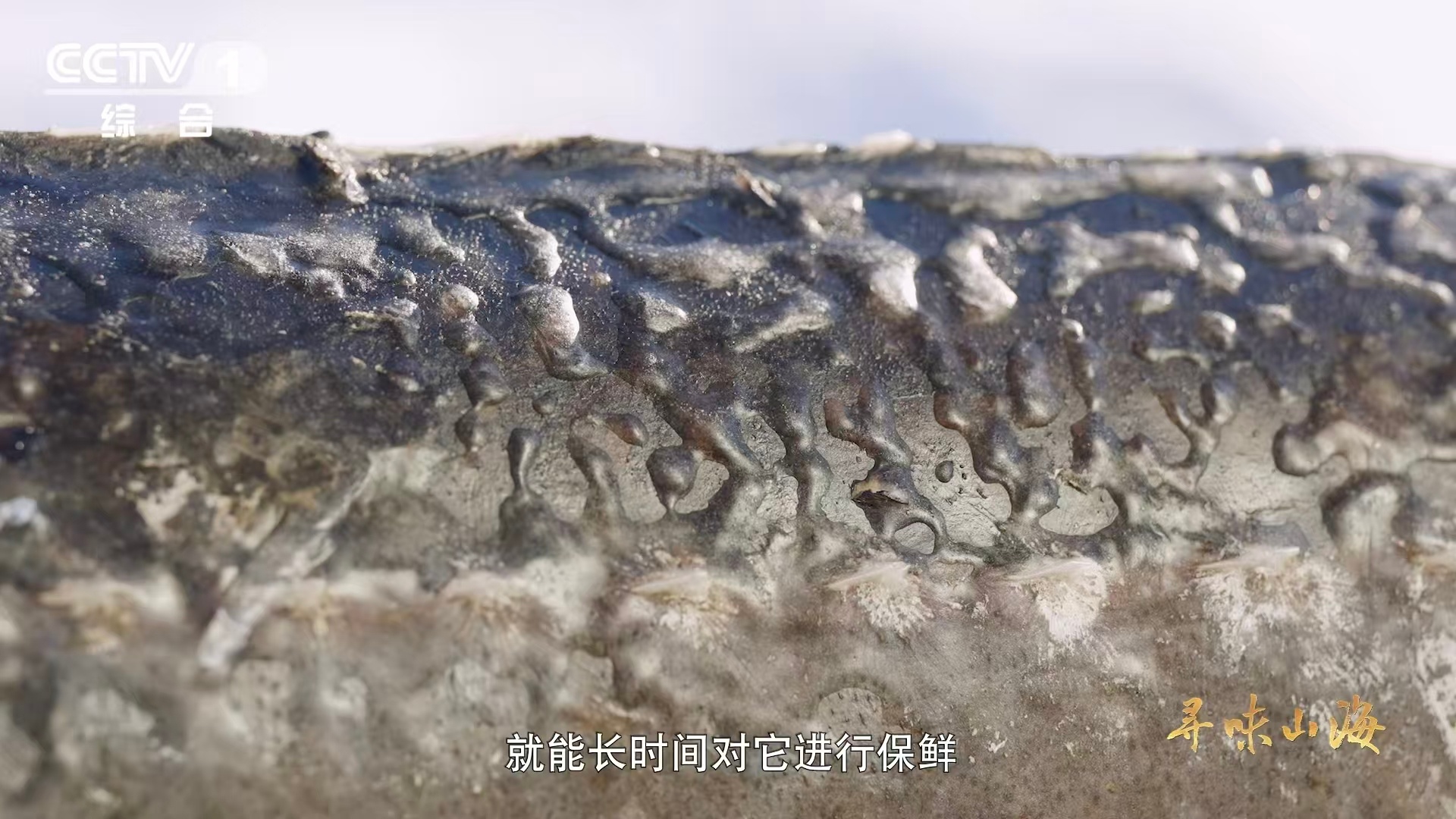 一桶水藏着东北保鲜绝招南方人看不懂的东北冰鲜大法黑龙江人的保鲜绝招：水+冷=冰衣