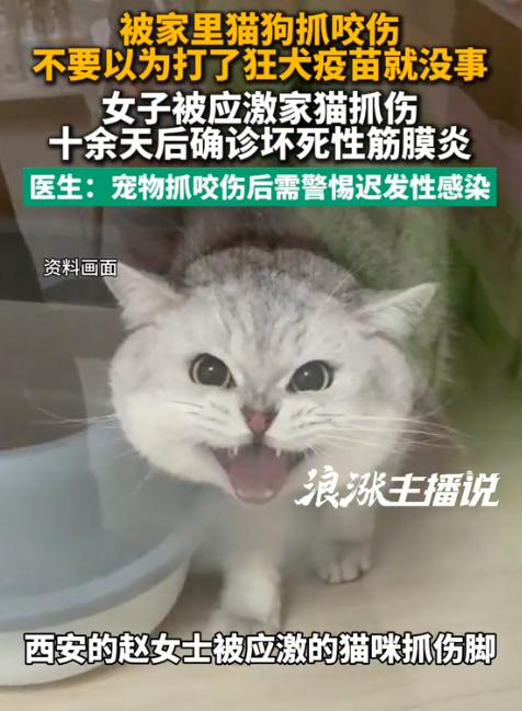 8月7日报道陕西西安，一女子被家猫抓出血，全程规范打完疫苗、伤口快速结痂后本以为
