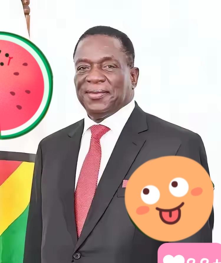 说起巴拿马这事儿，咱们得好好掰扯掰扯。港口不是一般的产业，那是国家的命脉，尤其是