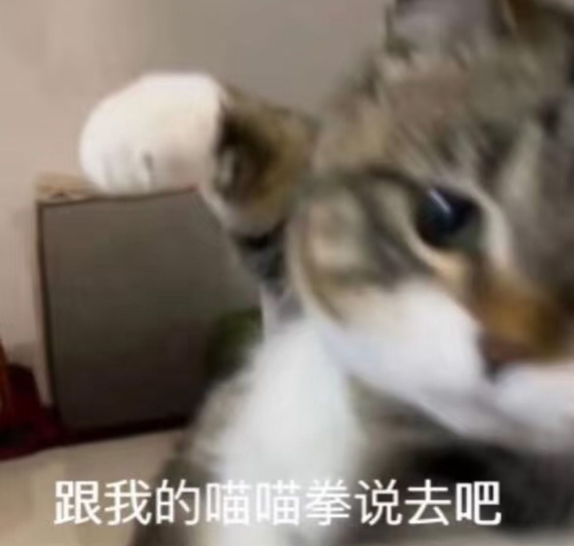 果汁两日修图店长营业中ღ( ´･ᴗ･` )❤️❤️❤️行程如下：1️⃣首先如果明