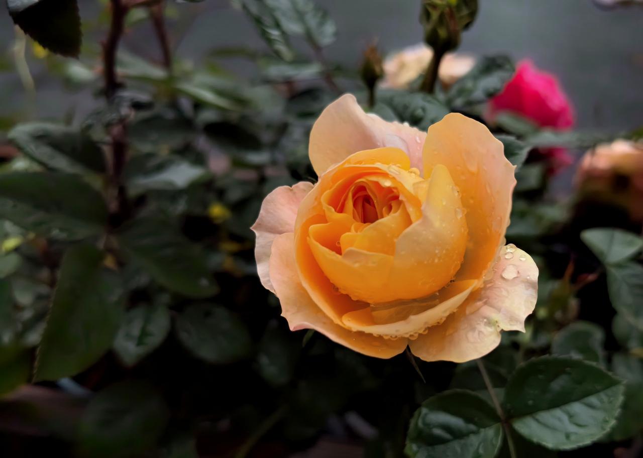 【热评】这份判决不符合情理法
父亲退休金6700元起诉儿子要赡养费

今天，热搜