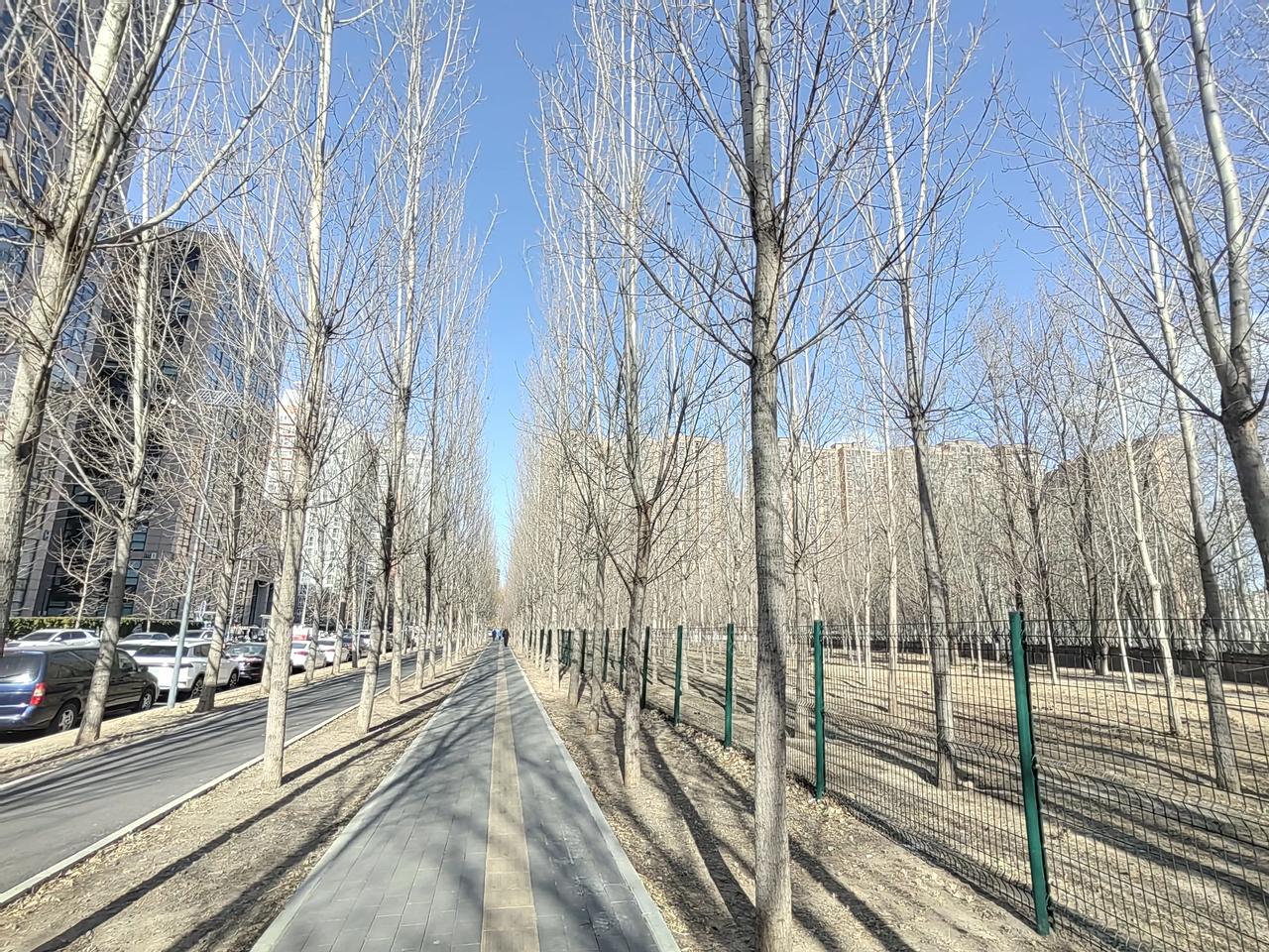 冬如二月早春