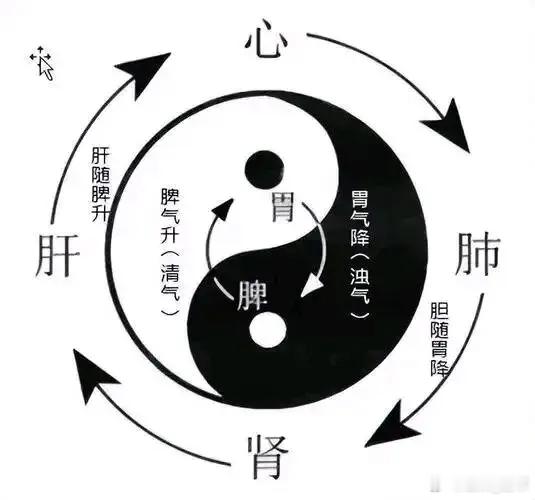 2026年丙午年遣方用药的技巧2026年为农历丙午年，其运气格局在《黄帝内经》五