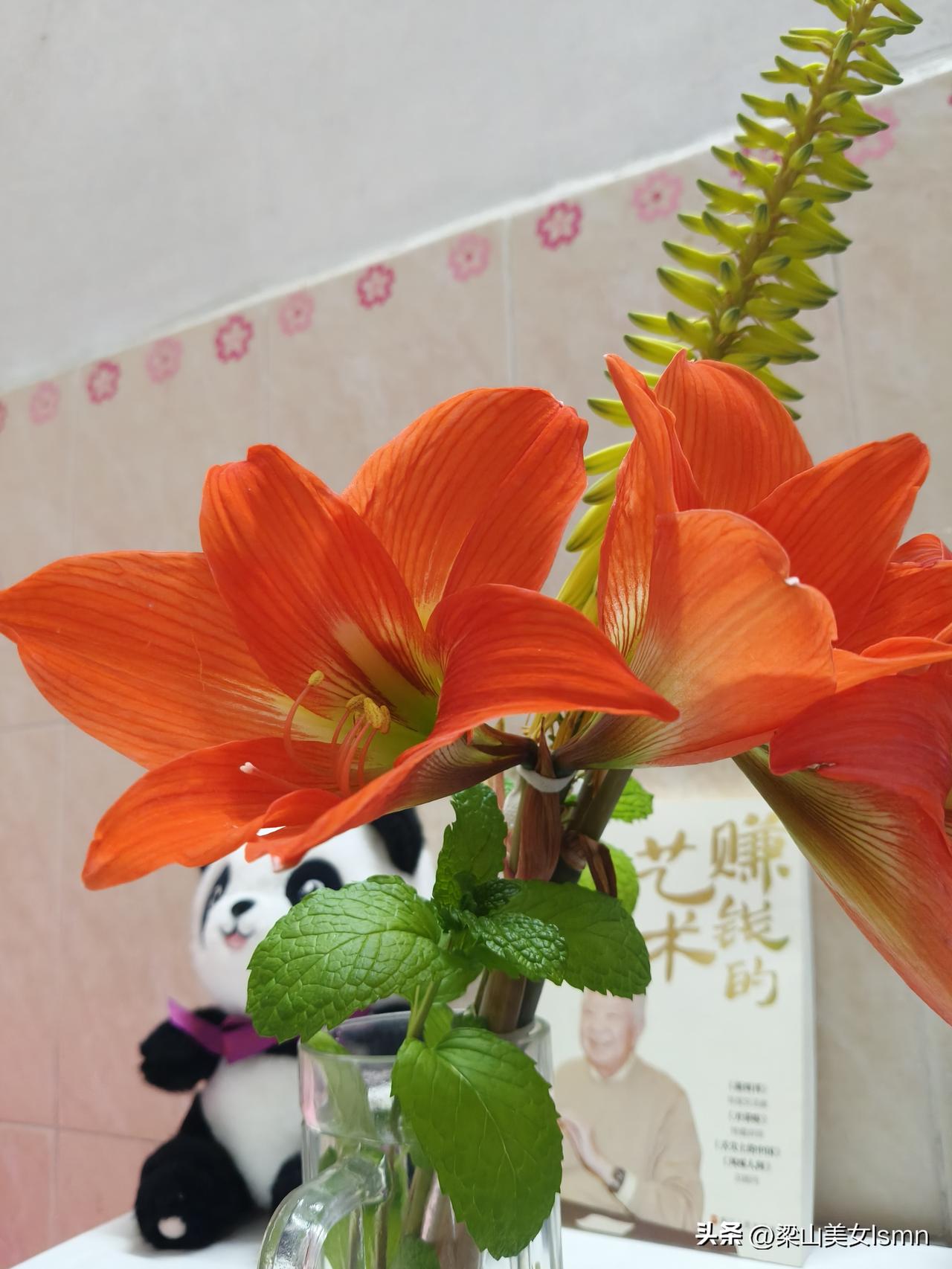 身体累了就好好睡觉；精神累了就好好读书。

当你累了烦时 累了我就睡大觉 累了烦