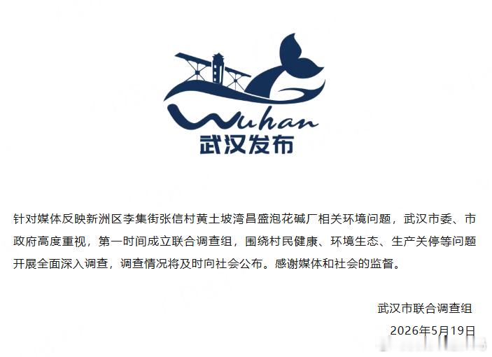 武汉成立联合调查组 武汉发布通报，针对媒体反映新洲区李集街张信村黄土坡湾昌盛泡花