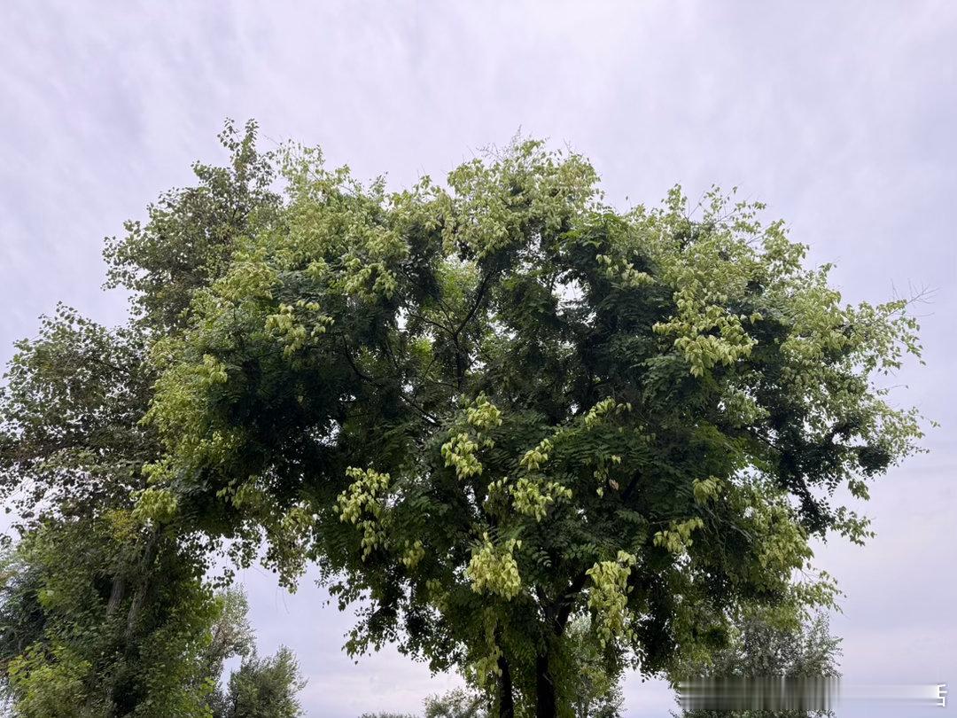 昨晚下了雨，今天早上外面好冷啊[傻眼] ​​​