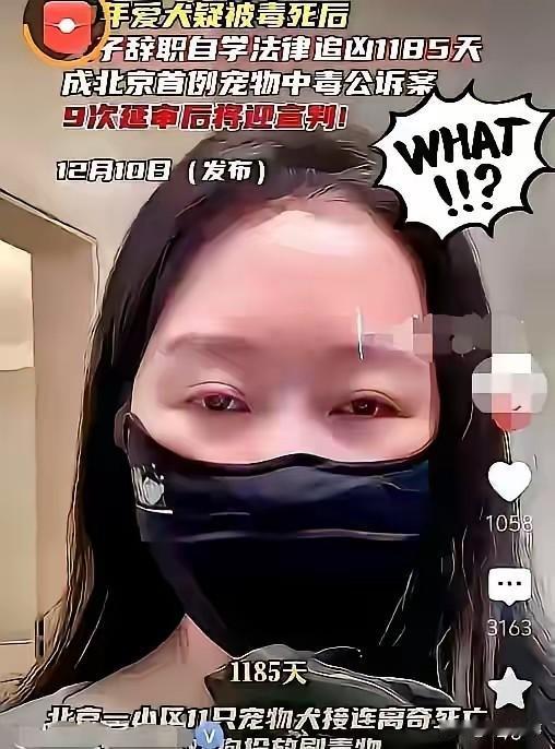 这回真闹大了！北京朝阳区一65岁老汉在小区里用剧毒氟乙酸钠泡鸡脖毒狗，9条宠物犬