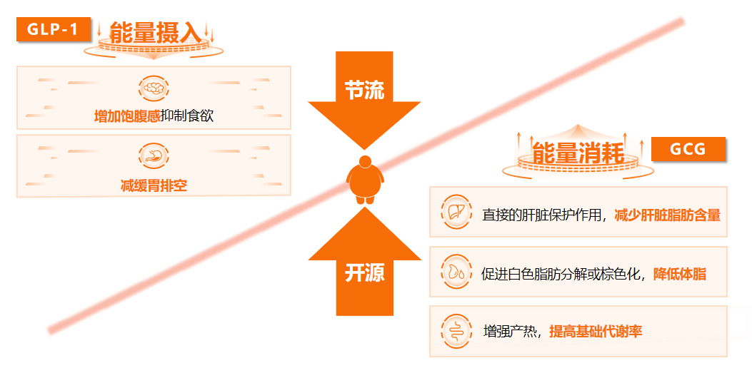 适合国人的双靶点减重新药上市这款全球首个GCG/GLP-1双靶点药物的落地，标志