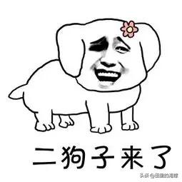 欧盟吃相太难看！29日，欧盟外交与安全政策代表卡拉斯宣称，欧盟公然决定，将伊朗伊