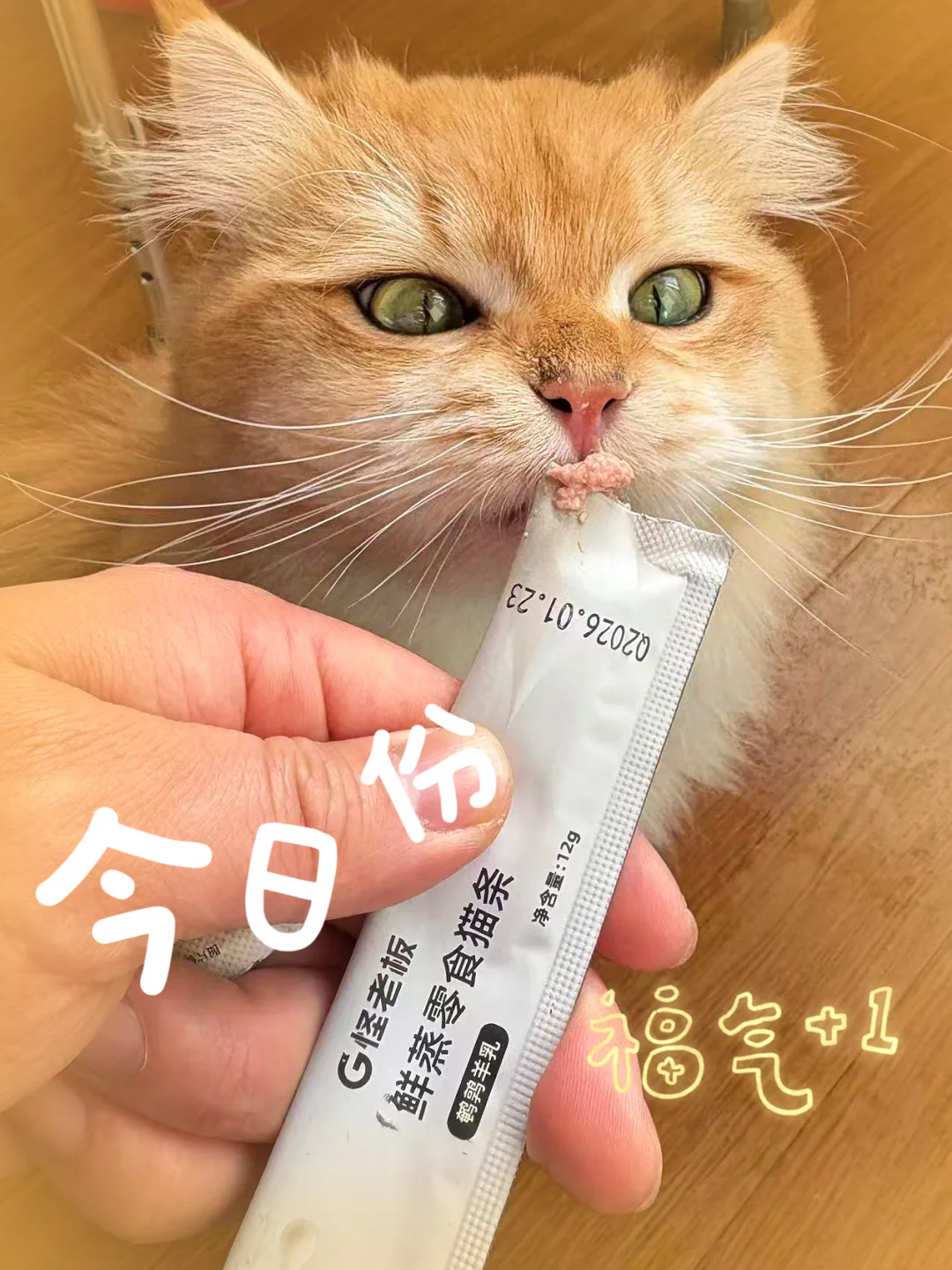 自从养了猫，选零食像给自己挑辅食一样仔