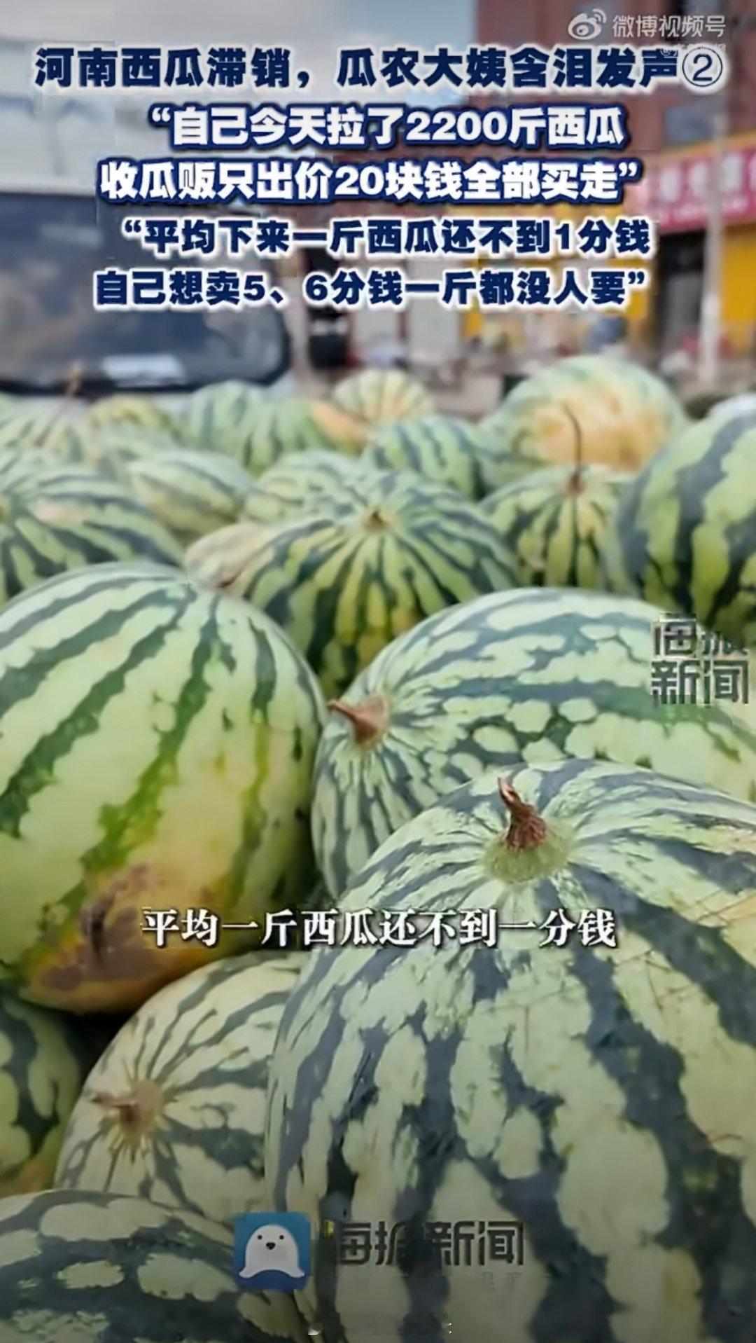 瓜农2200斤西瓜收瓜贩仅出价20元怎么说呢？我觉得农民也是为难。20 元也太低