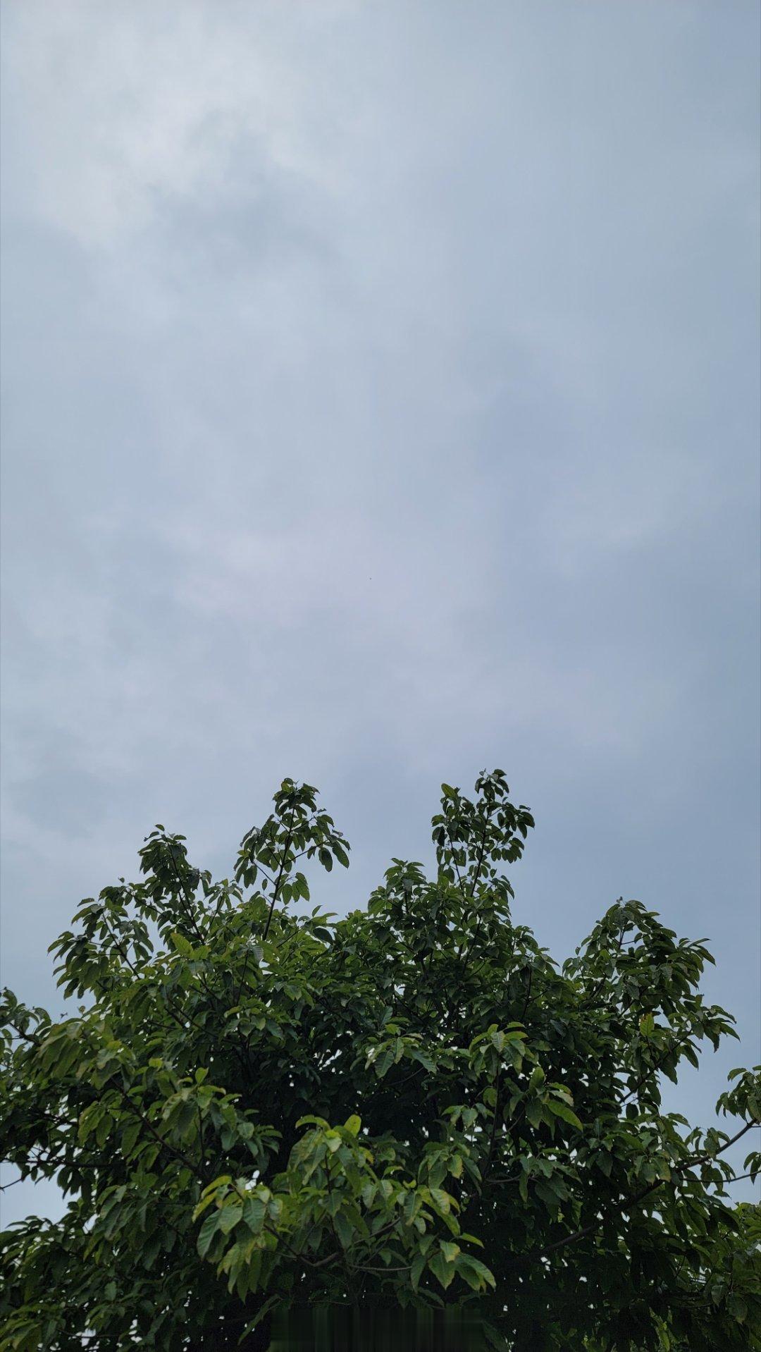 护送被家属间接抛弃的病人回远方的家。责任，担当，对某些人、某些部门，是虚无的。 