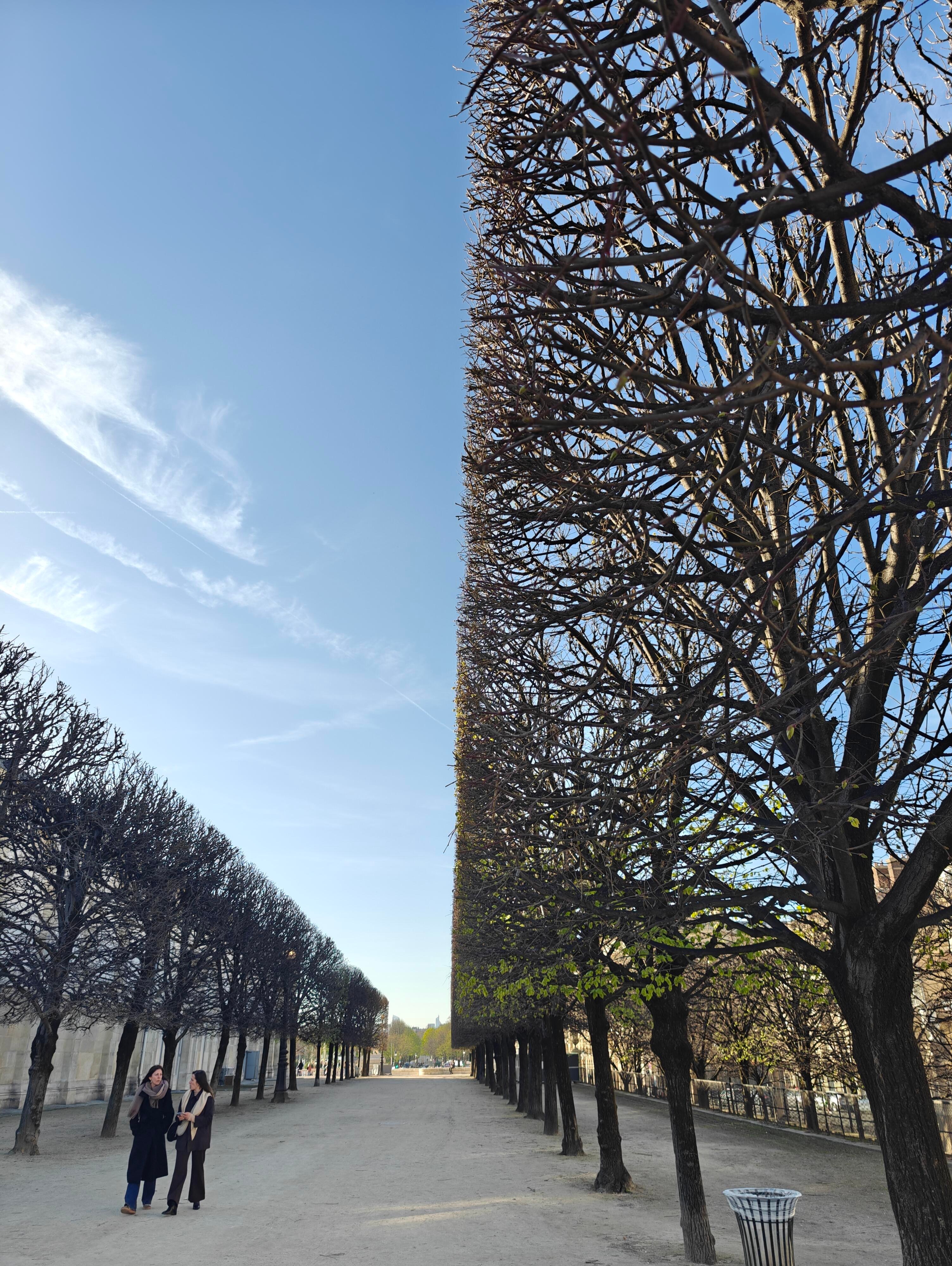 我宣布  巴黎修剪工的眼睛就是尺 