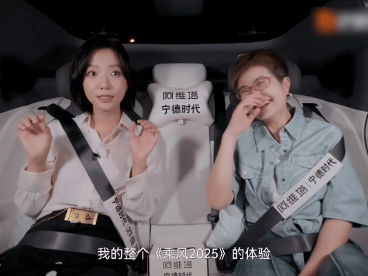 王珞丹 浪姐就是王姥姥进大观园当 “王姥姥” 的自嘲变成舞台上的游刃有余，才明白