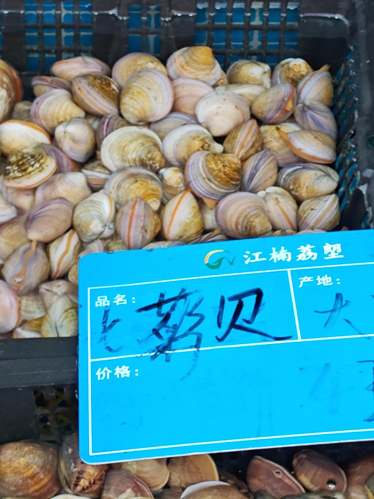 前两天还说广州没有青蛤，转眼被打脸。广州荔塱市场有两家在卖，叫七彩贝或红口贝，卖