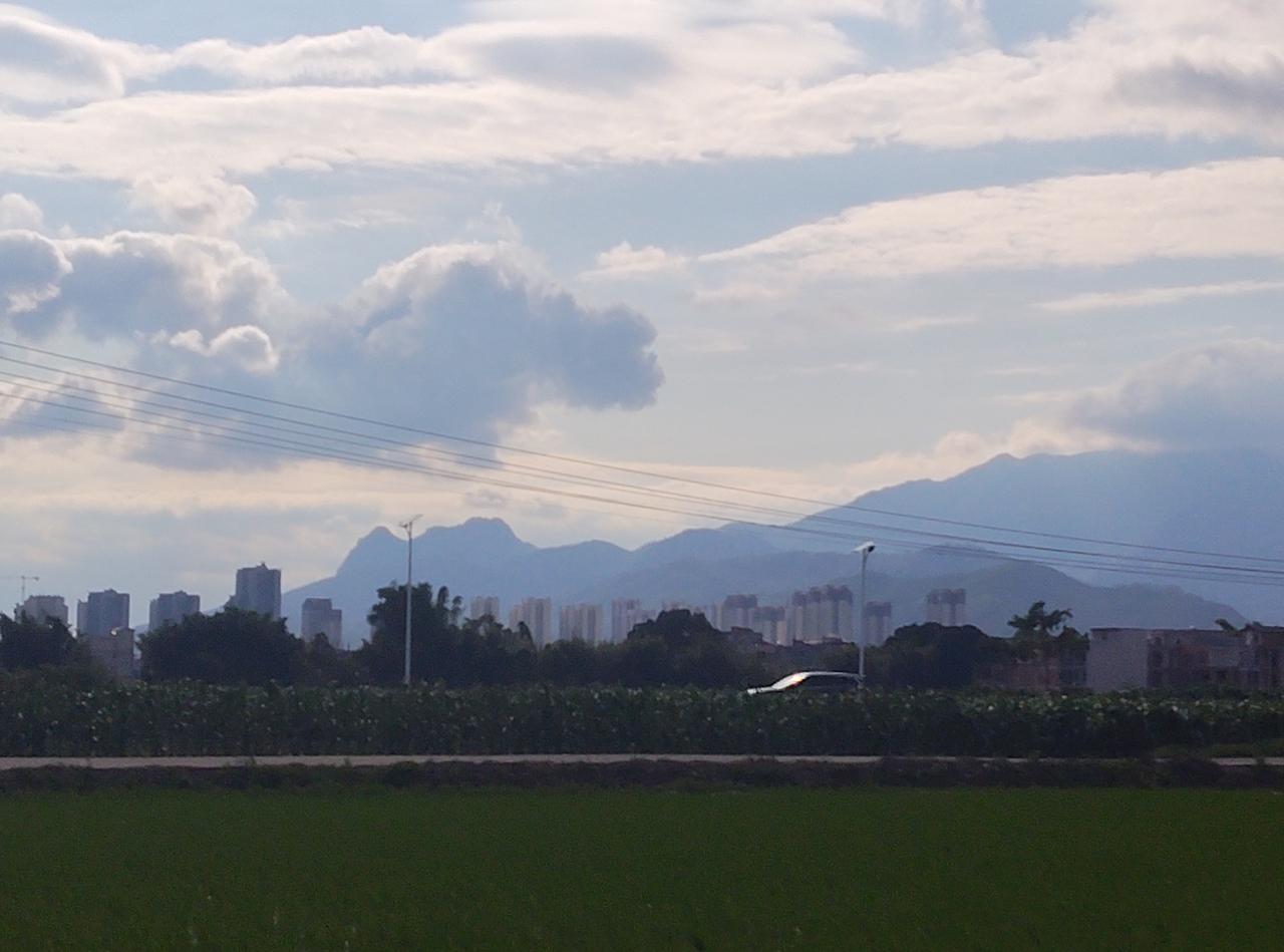 站在田野边放眼望去，眼前一片绿油油的田地，生机勃勃。远处一座座高楼整齐排列，城市