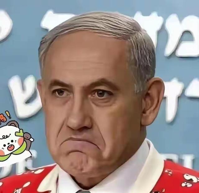 以色列宣布已停止所有对法国防采购。不买法国的武器，莫迪估计乐坏了，印度武器可以卖