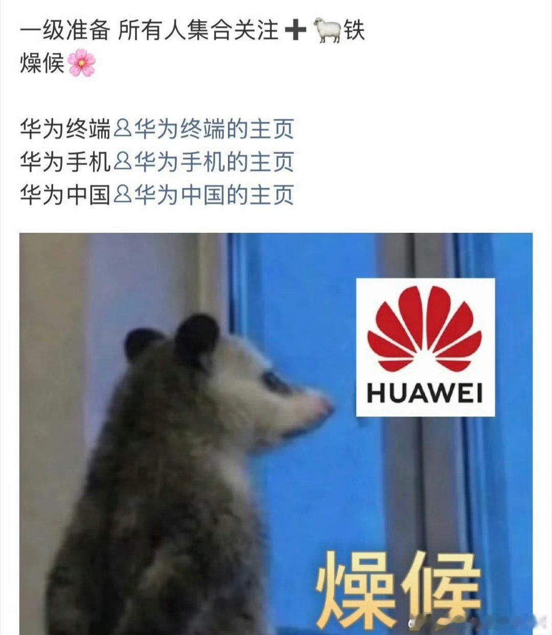 时代少年团最全综艺拉表 华为真来了