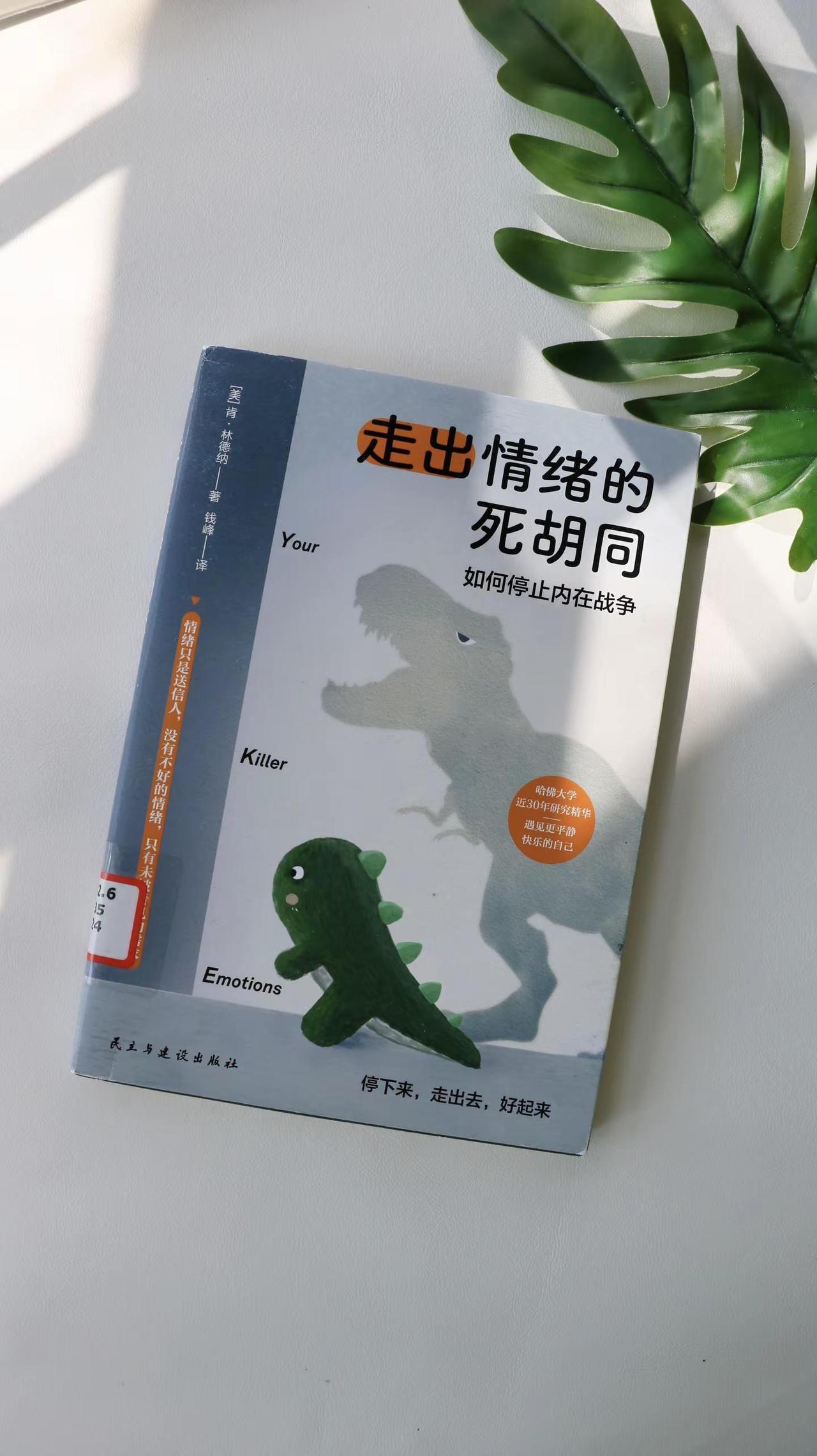 【走出情绪的死胡同】：核心是理解情绪本质、停止内在精神内耗，并通过实用方法将负面