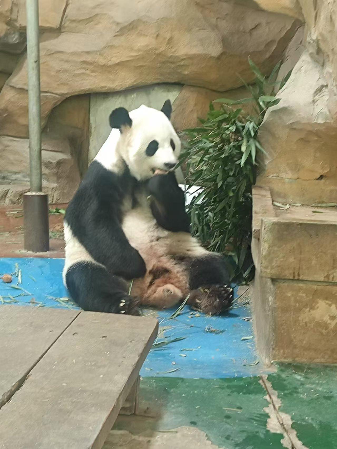 还没到冷的时候，就受不了