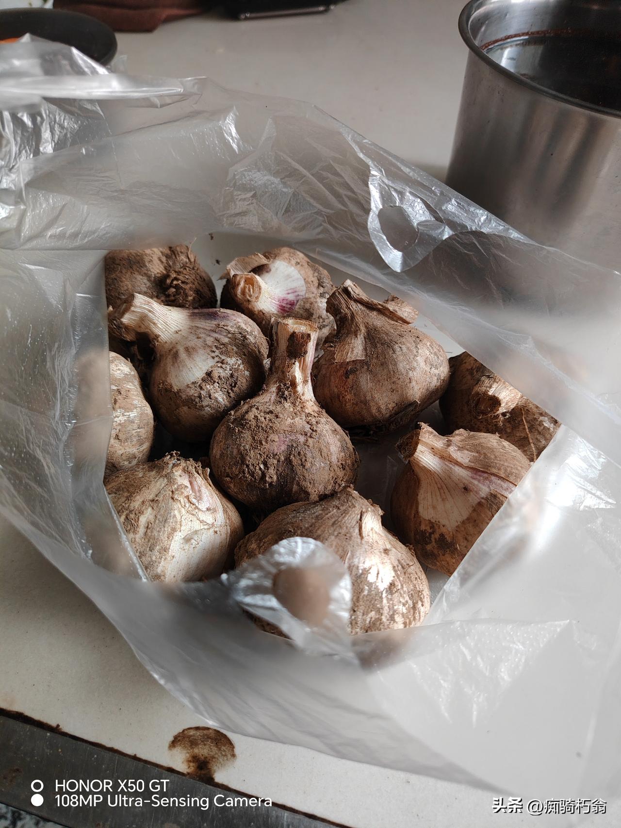 吃完早饭，突发奇想，特别想看一看我今年大蒜的分量，结果十头大蒜竟有七百克！
今年