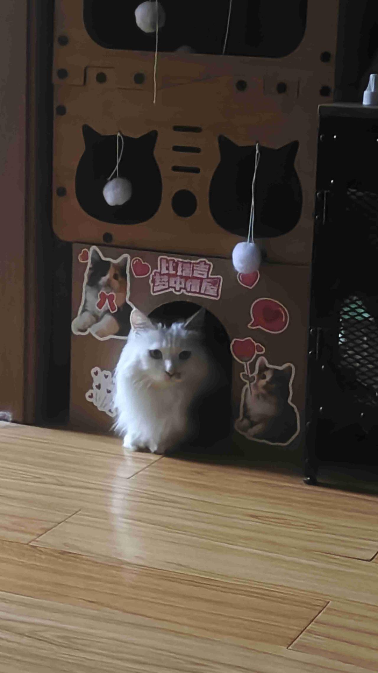 我的今日状态：😁轻松愉快
我这里的天气：☀️晴天今天也很幸福的