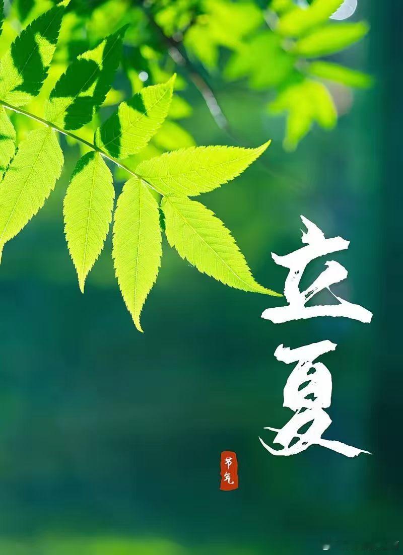 立夏槐影渐成阴，荷风送晚晴。蝉声初入耳，一雨夏方生。江南学诗 立夏吃蛋走好运了 
