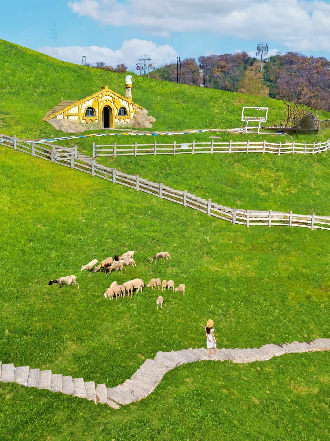 不是新疆！！是安吉！！附3天2晚旅游攻略🍃