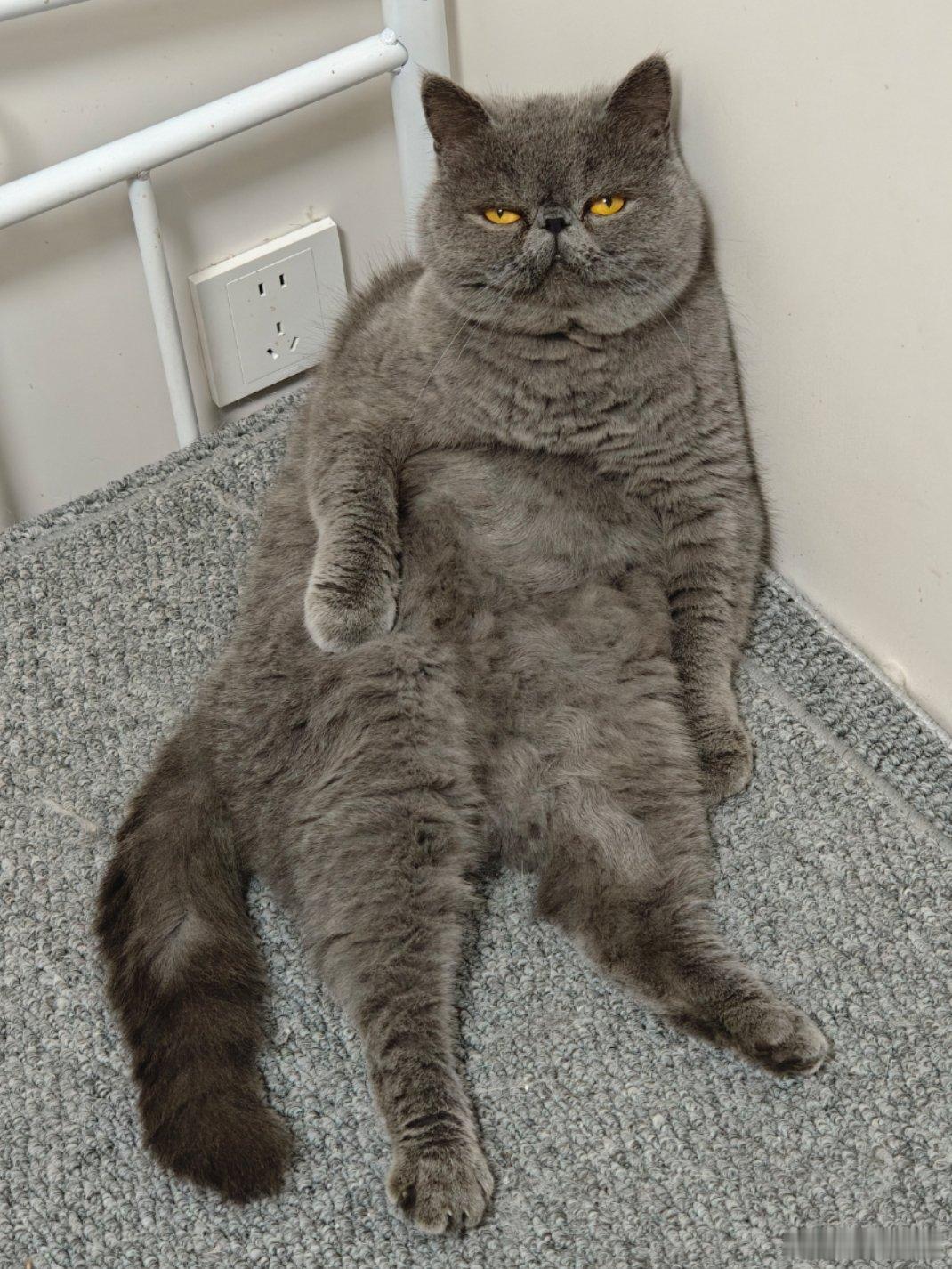 “请问咱们脚本大概什么时间能给出来呀？”    我↓电车同学随便聊