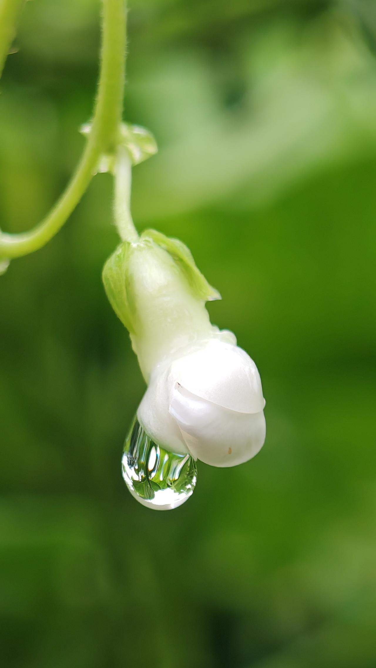 中国摄影圈雨后随拍