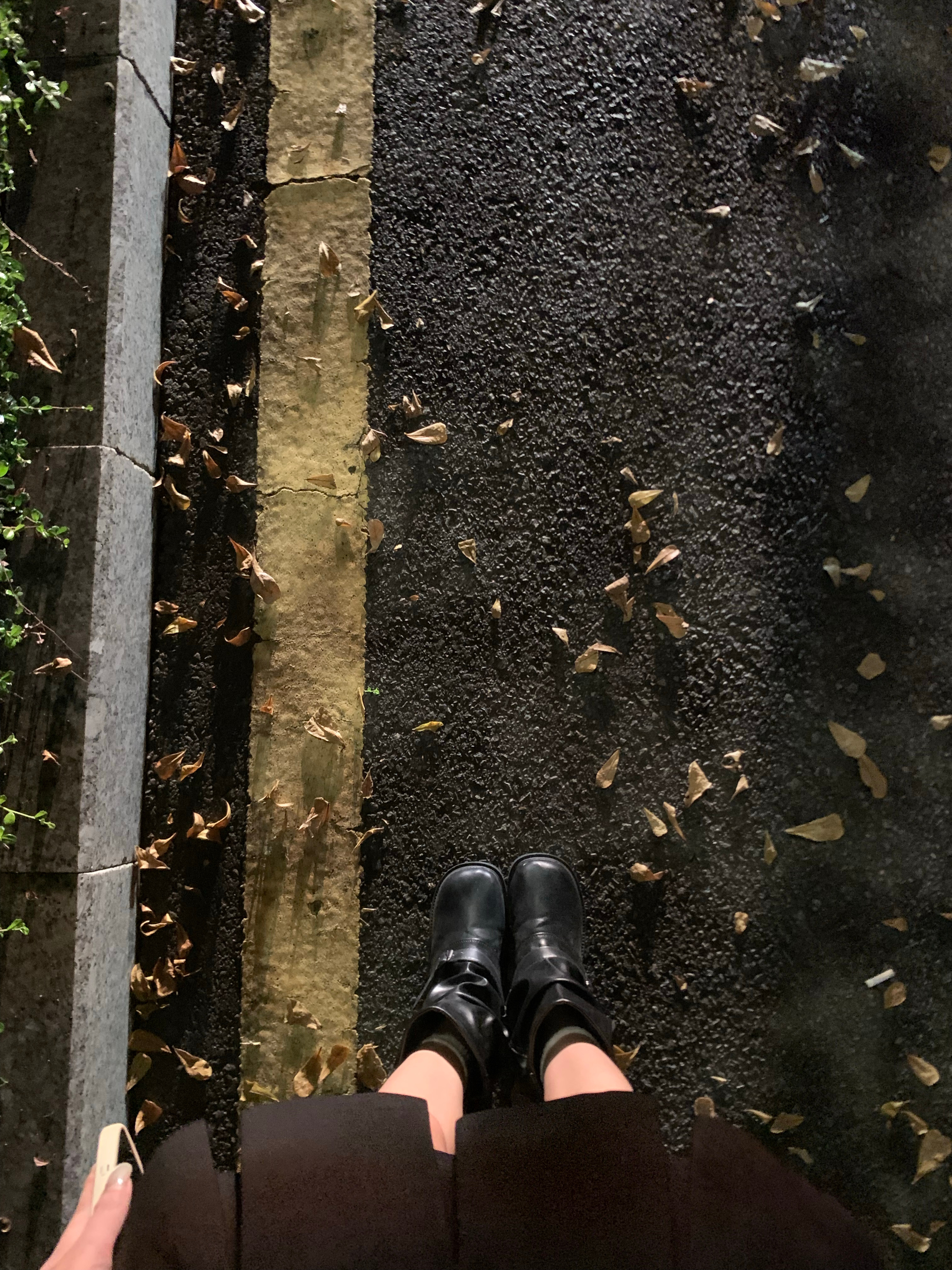 早呀～有秋天🍂的味道了 