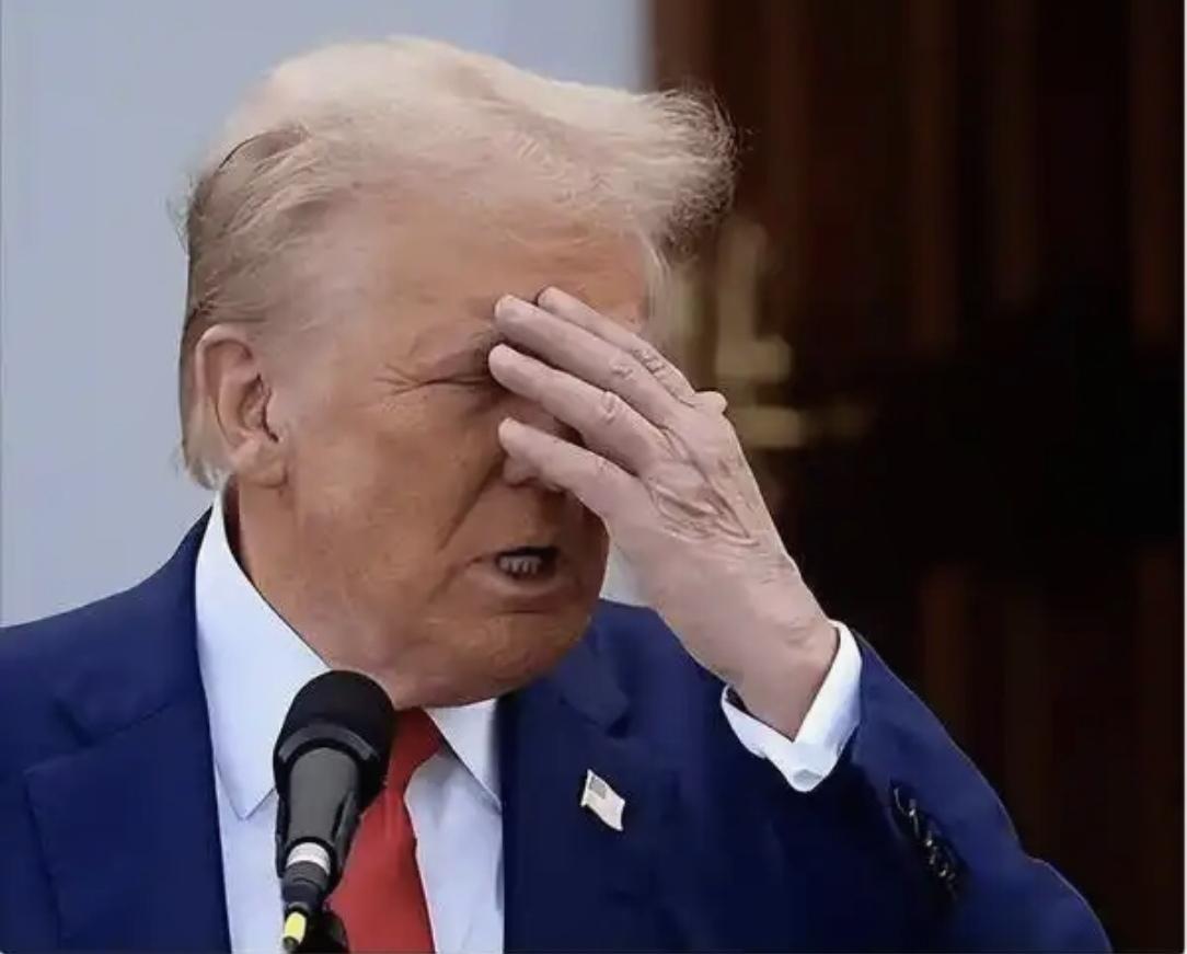 愤怒的特朗普，“北约就是纸老虎”“再见吧”
 
当地时间4月6日，特朗普在白宫新