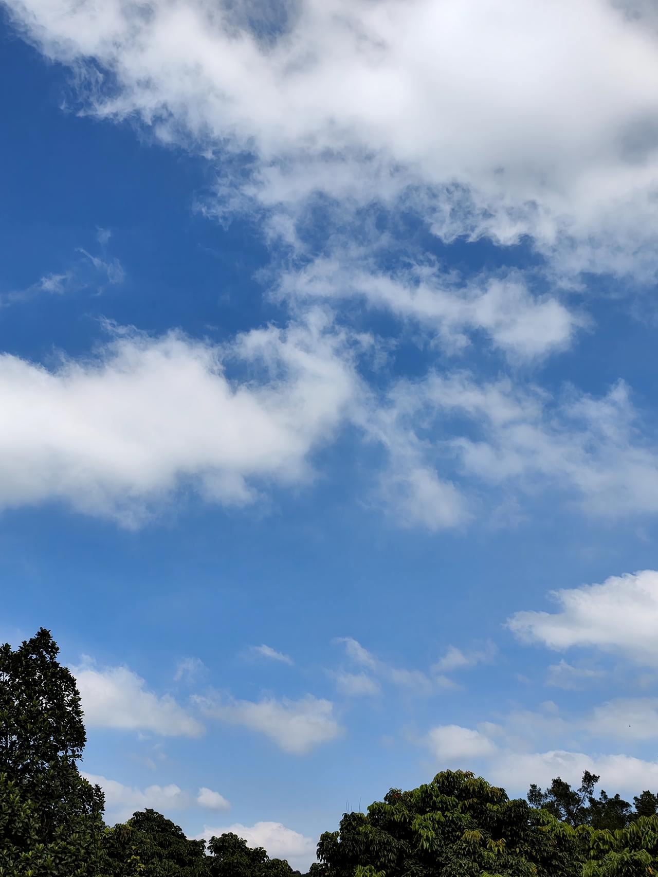 广州这几天实行单双号限行，有黄埔区粤A牌车辆从科学城到知识城，从大沙地到丰乐北路