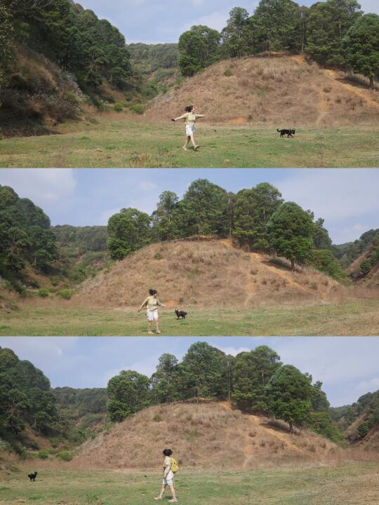 昆明50mins车程又发现带小狗徒步的好地方啦