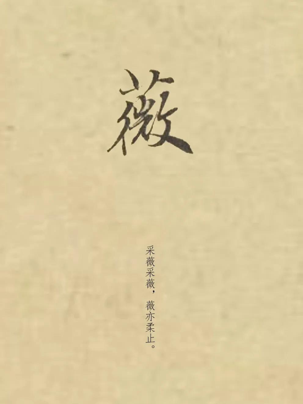 《诗经》里的薇，正在开花结果


“采薇采薇，薇亦柔止”。诗经里这著名的薇，就是