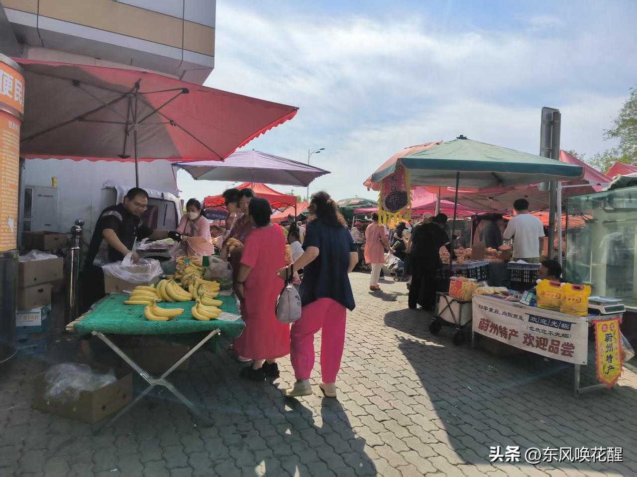 登发服装城早市，依旧红火热闹，水产肉类，蔬菜水果零食，卖嘛的都有，有不少市民坐车
